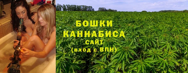 молекула духа Каменск-Шахтинский