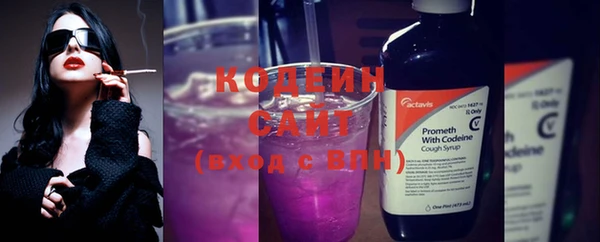 крисы Каменногорск