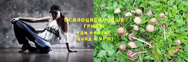 молекула духа Каменск-Шахтинский