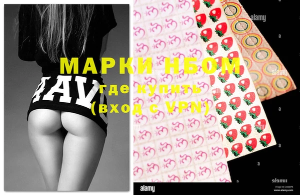крисы Каменногорск