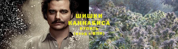 молекула духа Каменск-Шахтинский