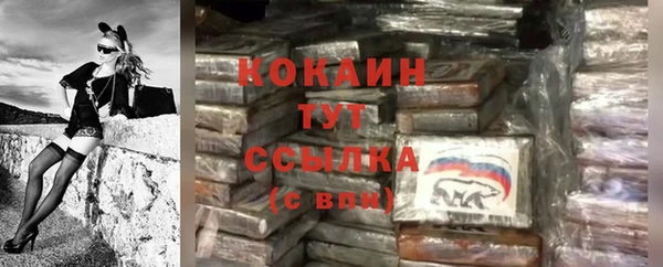 крисы Каменногорск