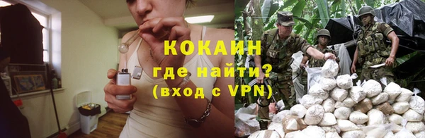 крисы Каменногорск