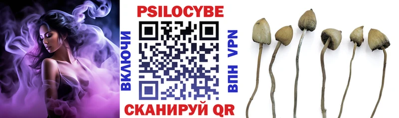 Купить  Лесосибирск  Псилоцибиновые грибы прущие грибы 